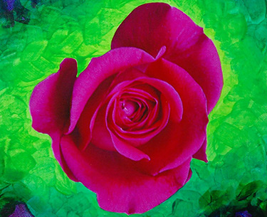 Leon Clemons super-realistic art - Cerise-Rose