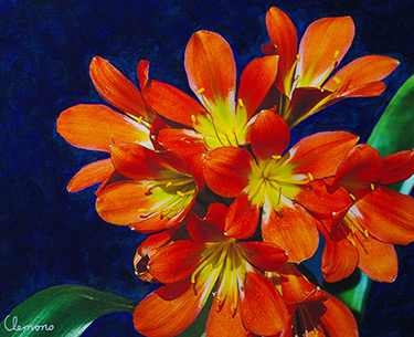Leon Clemons super-realistic art - Clivea Miniata 2