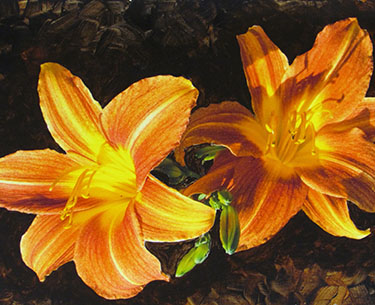 Leon Clemons super-realistic art - Golden Lillies