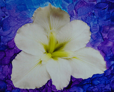 Leon Clemons super-realistic art - Lily 4