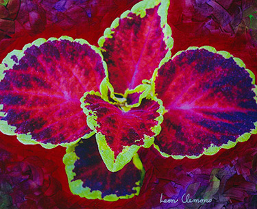 Leon Clemons super-realistic art - Painted Nettle