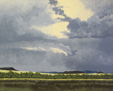 Leon Clemons realistic artwork - Rain over the Karoo