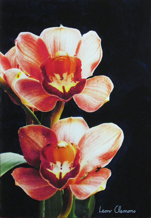 Leon's super realistic artwork - Lumenous Orchids